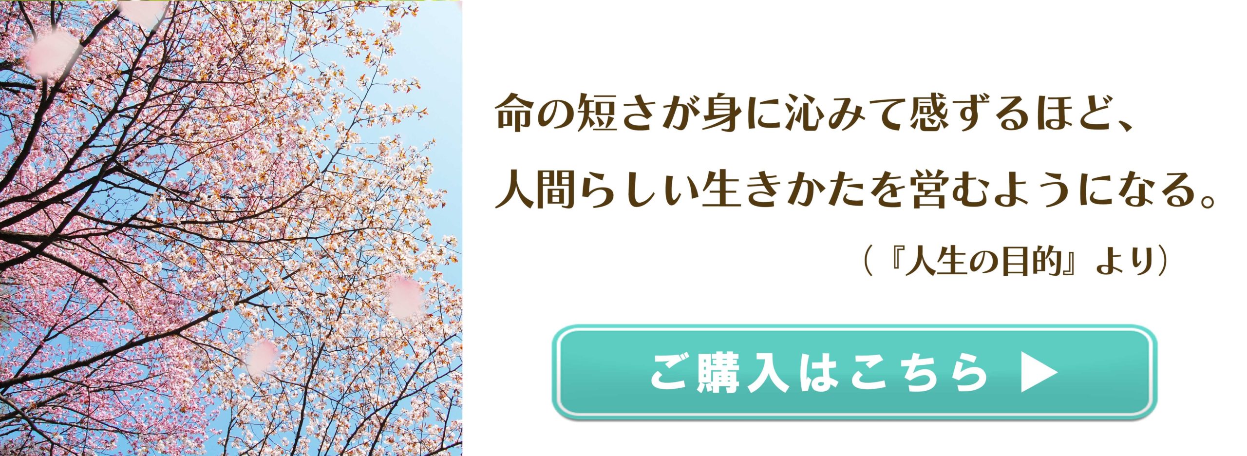 続々重版 20万部突破！ 『人生の目的』へ、１万2,000人からの「ありがとう」の画像2