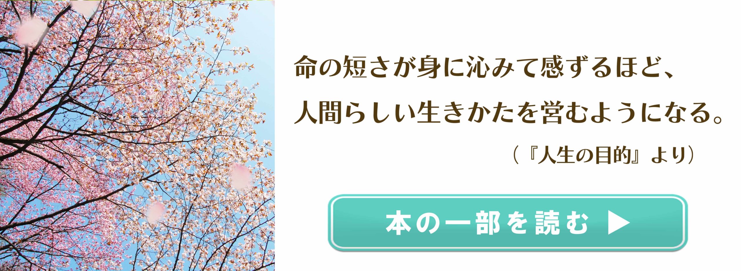 続々重版 20万部突破！ 『人生の目的』へ、１万2,000人からの「ありがとう」の画像2